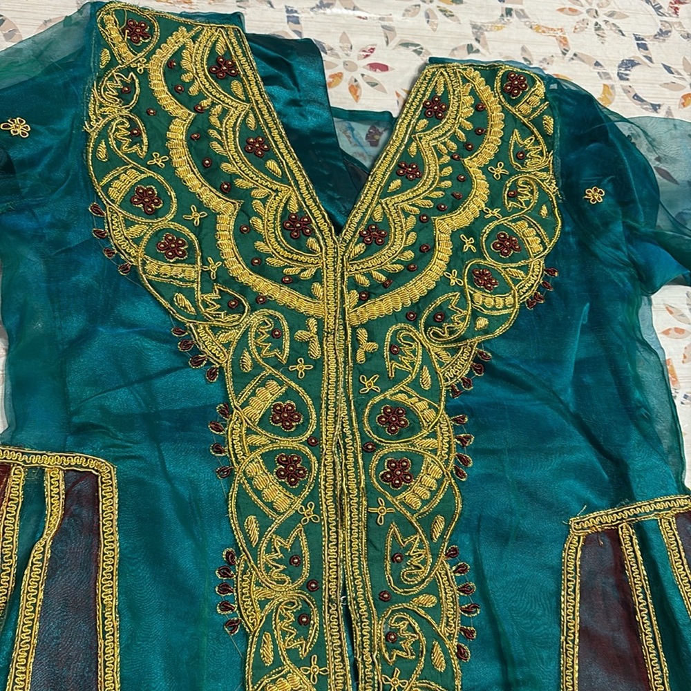 Pakistani  fancy party dress - Picture 5 of 12